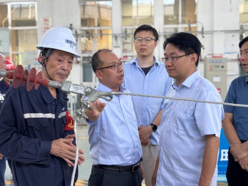 2025年7月27日山東華電集團(tuán)新能源專家領(lǐng)導(dǎo)考察調(diào)研